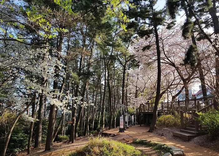 Suntree Hotel