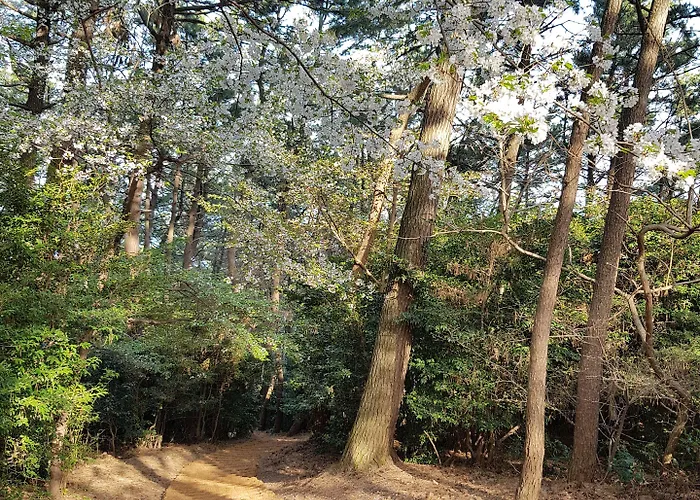 Suntree 2*