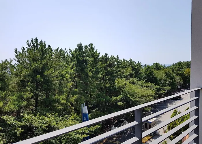 Suntree Busan